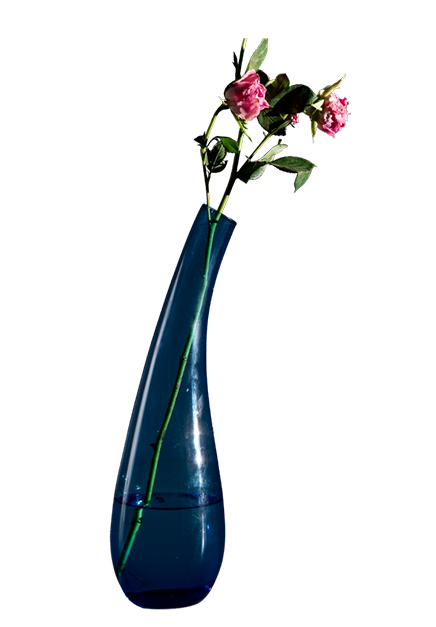 Curved Glass Vase