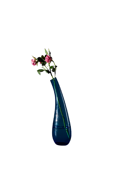 Curved Glass Vase