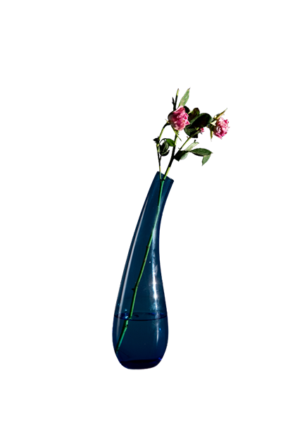 Curved Glass Vase